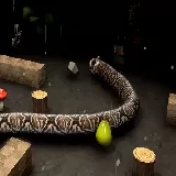 Nova Snake 3D